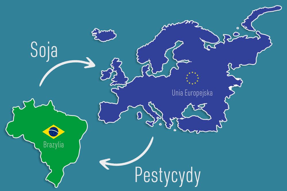 Grafika przedstawiająca zarys Europy w kolorze niebieskim z flagą i napisem Unia Europejska i zarys Brazylii w kolorze zielonym z flagą i napisem Brazylia. Od Brazylii w stronę Europy biała strzałka z napisem - Soja. Od Europy w stronę Brazylii biała strzałka z napisem - Pestycydy 