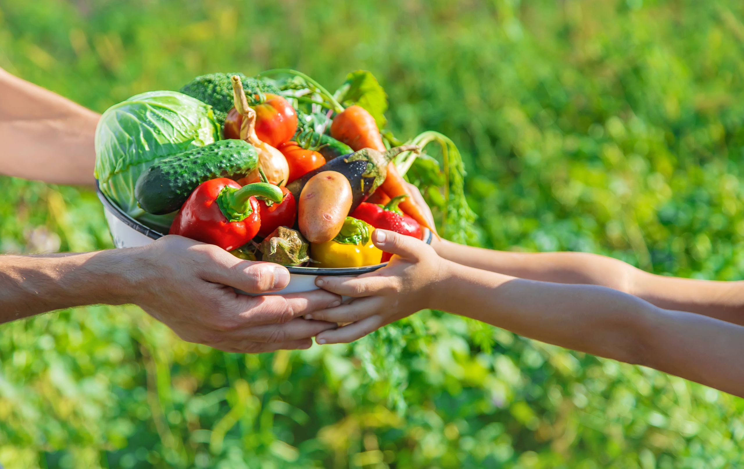 envato.com by yanadjana